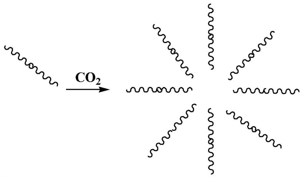 Thickener for supercritical carbon dioxide oil displacement as well as preparation method and application thereof