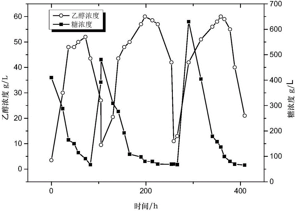 Method of producing ethanol by fermenting immobilized yeast cells taking waste molasses as raw material