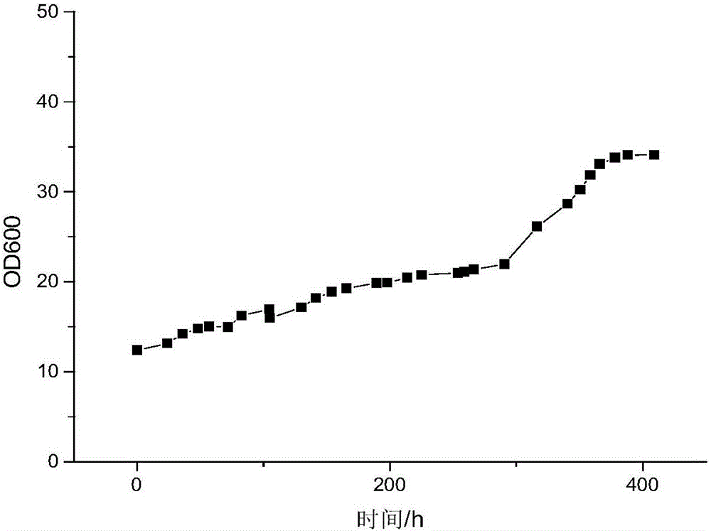 Method of producing ethanol by fermenting immobilized yeast cells taking waste molasses as raw material