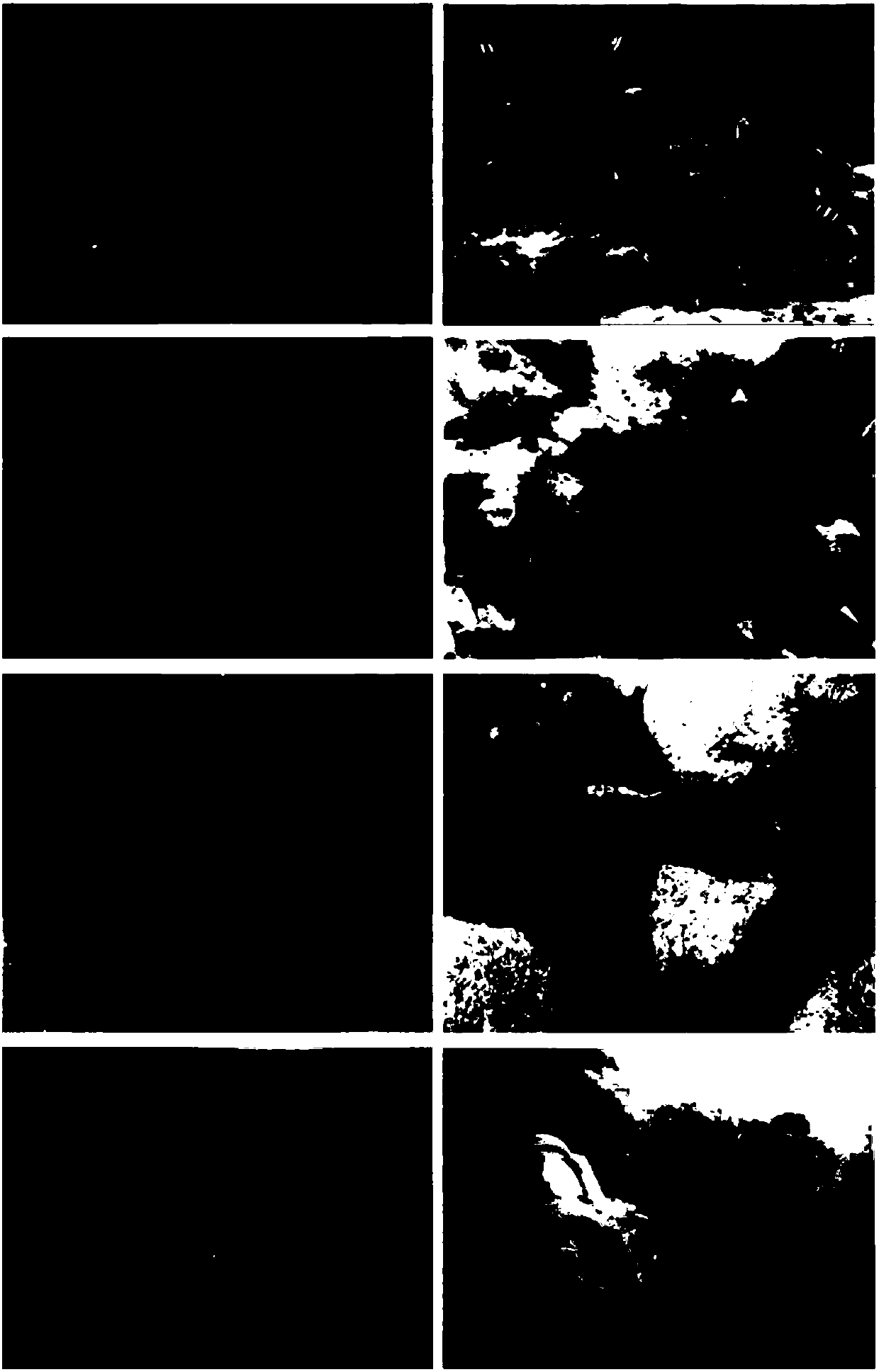 Underwater image enhancement method in combination with bilateral filtering and Retinex