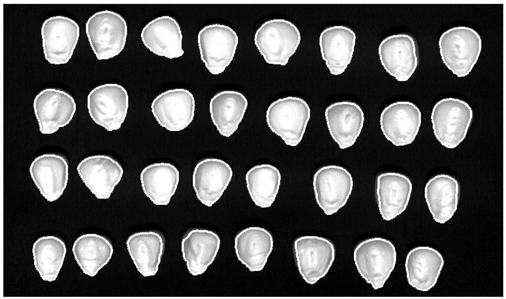 Combined-skewness-based waveband selection method for hyperspectral image of corn seed