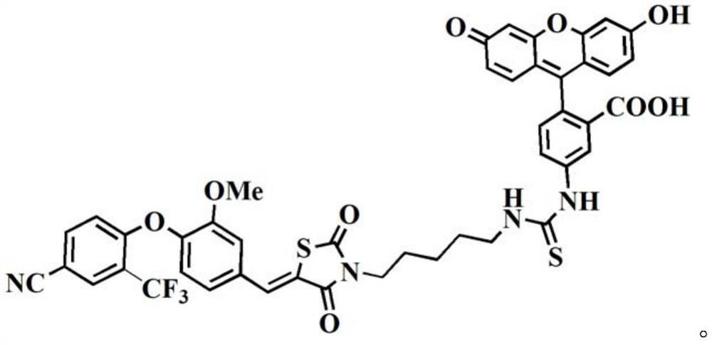 Fluorescent probe compound, and preparation method and application thereof