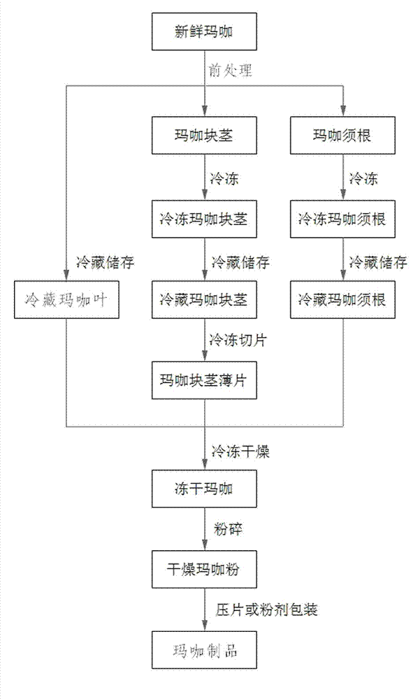 Maca powder with bioactivity fully reserved, and preparation method and preparation of maca powder