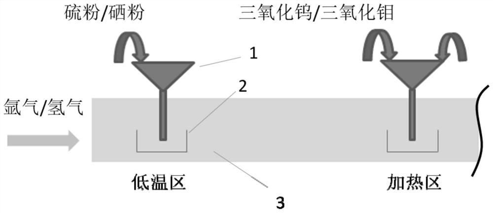 Preparation method of molybdenum disulfide/tungsten diselenide vertical heterojunction