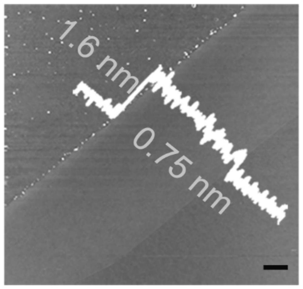 Preparation method of molybdenum disulfide/tungsten diselenide vertical heterojunction