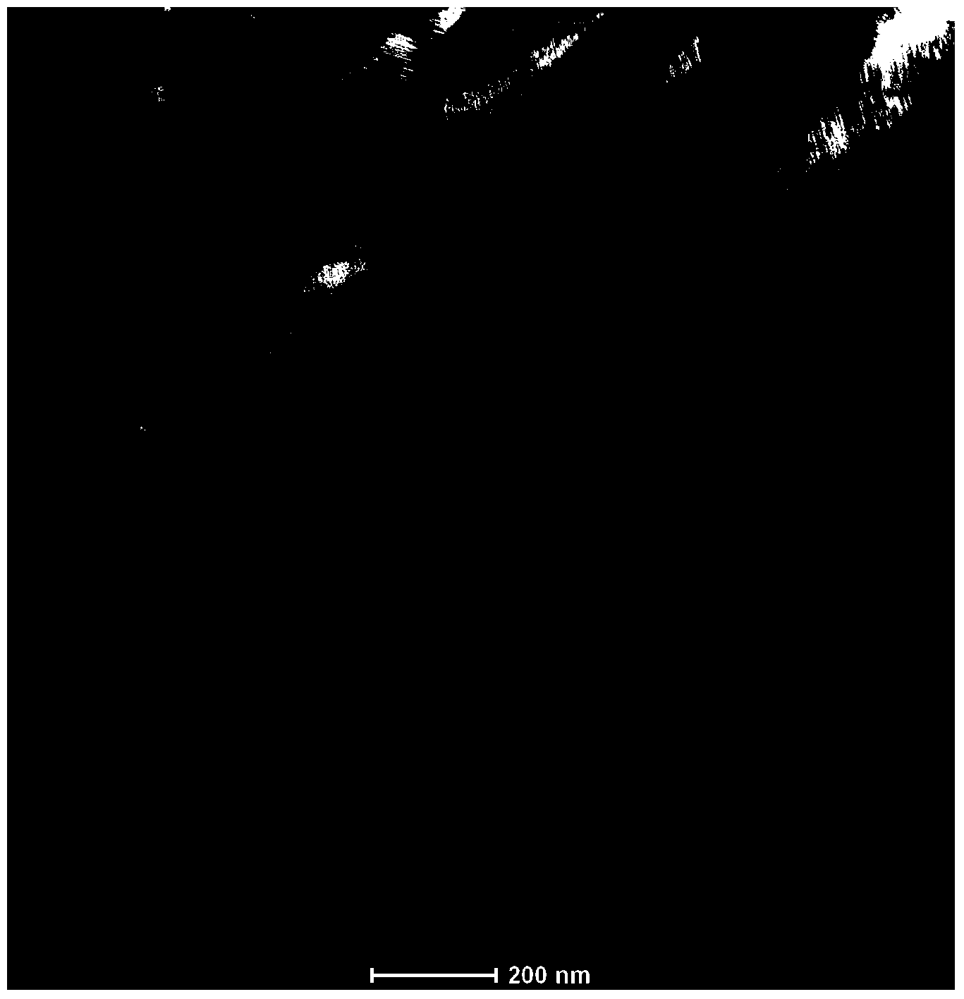 Magnetic material with magnetic field for driving martensite twin crystal rearrangement and preparation method thereof