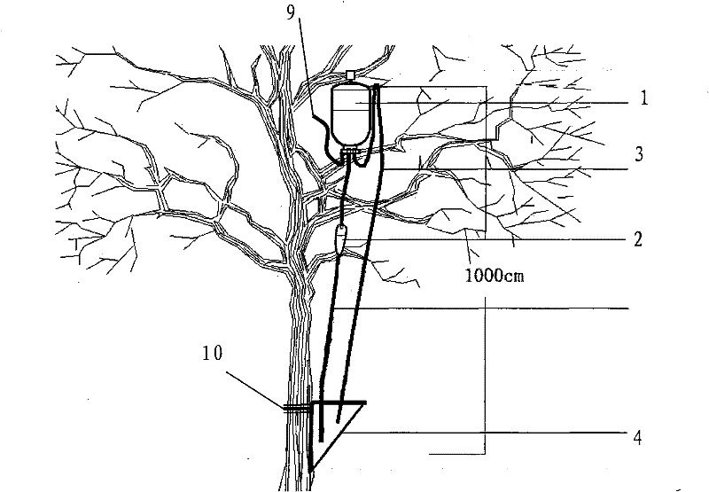 Trunk injector capable of automatically adjusting dosage along with metabolic rate of tree