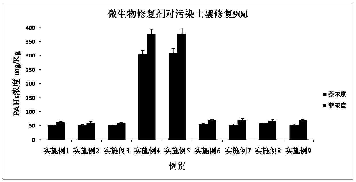 Microbial remediation agent and preparation method thereof