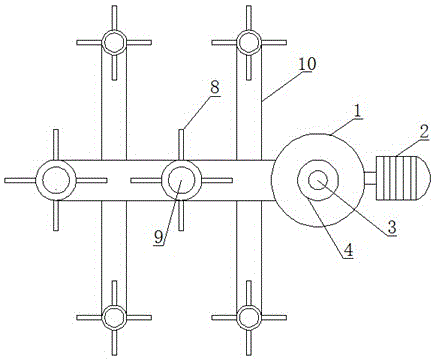 Spraying device for nursery garden planting field