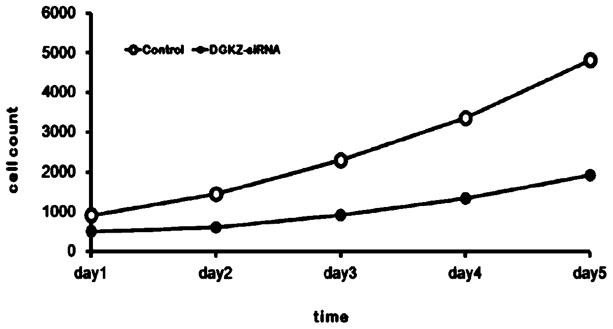 Application of human DGKZ gene and related drugs thereof