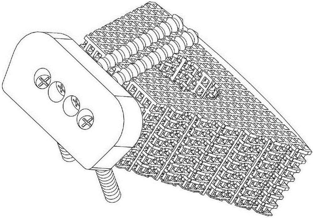 Porous metal cervical interbody fusion cage for directionally and slowly releasing rhBMP-2