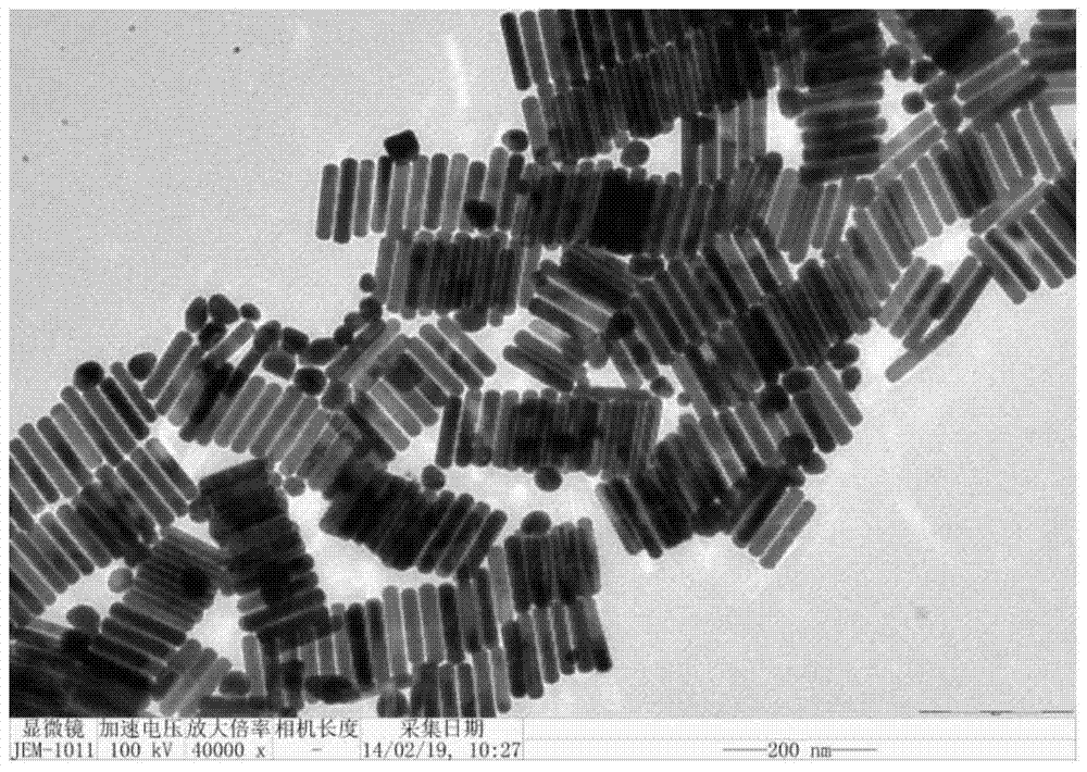 A kind of graphene oxide and gold nanorod composite ink and preparation method thereof