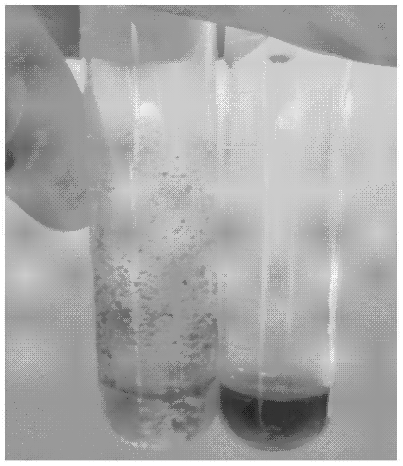 A kind of graphene oxide and gold nanorod composite ink and preparation method thereof