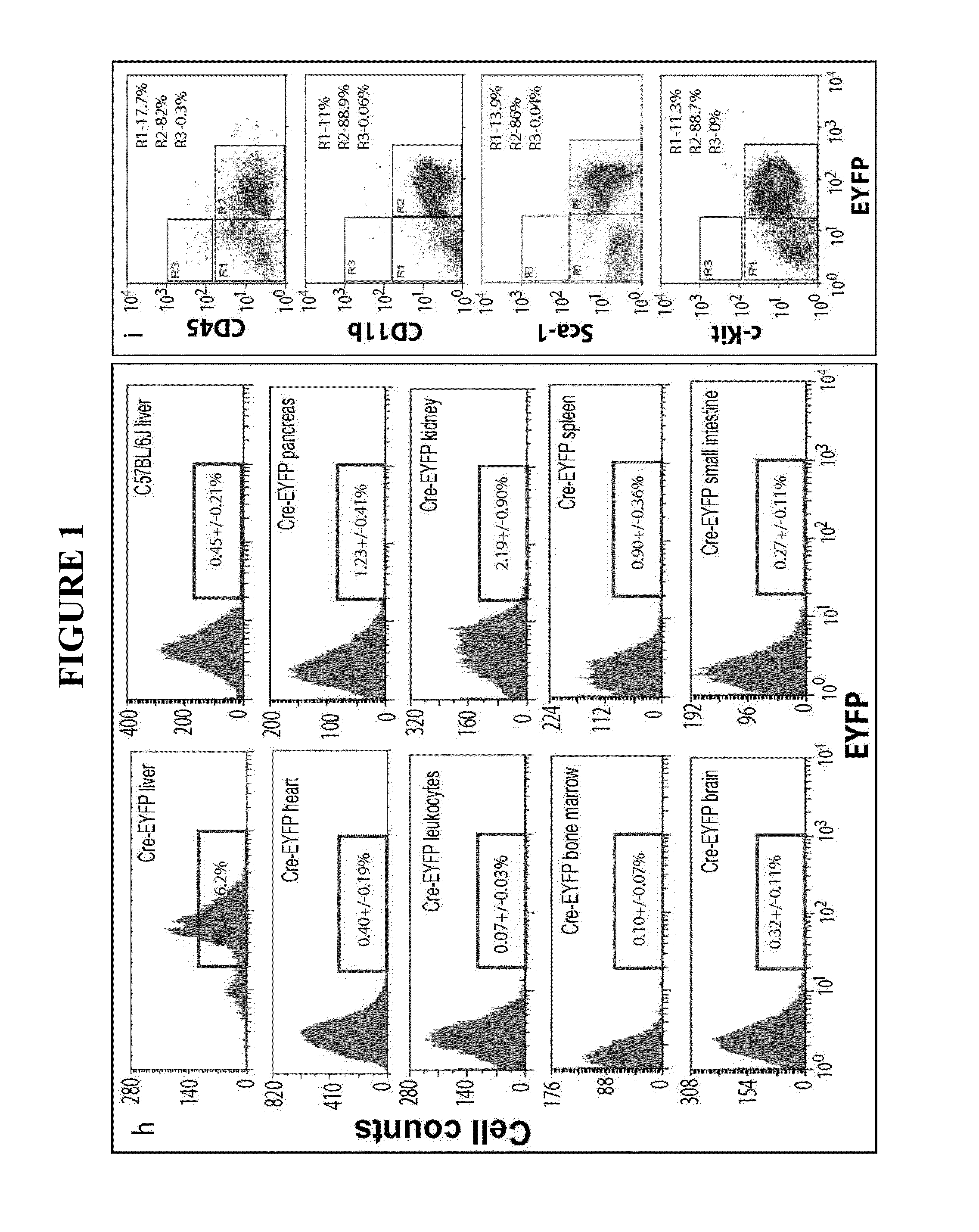 Cardioprotective role of hepatic cells and hepatocyte secretory factors in myocardial ischemia