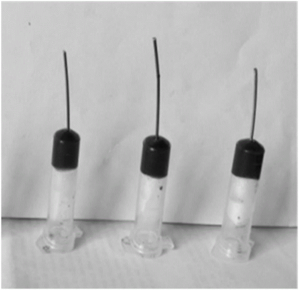 Preparing method for graphene-nanogold hydrogel electrode