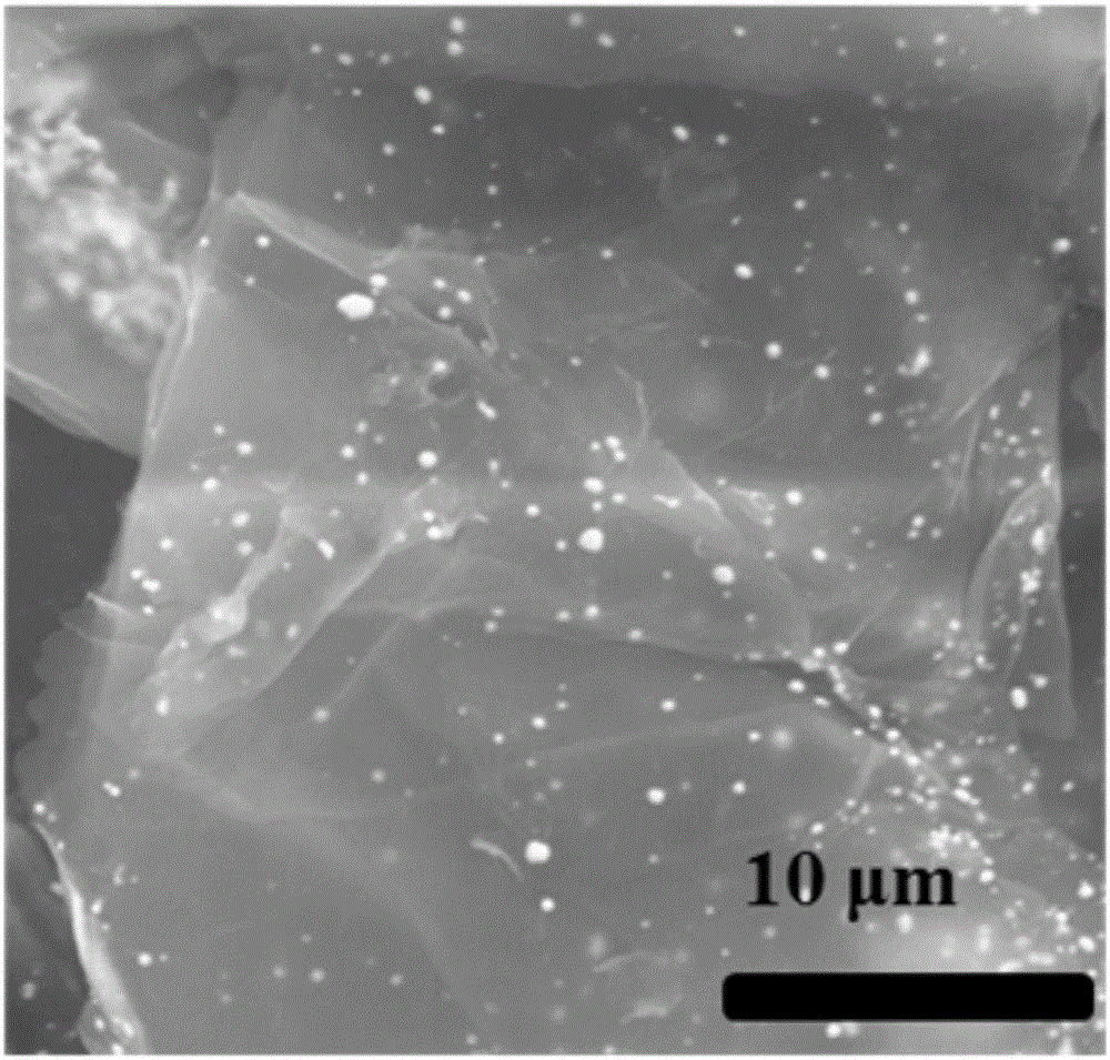 Preparing method for graphene-nanogold hydrogel electrode