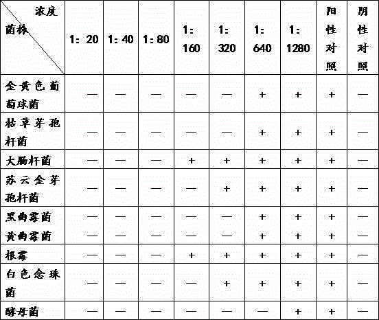 Natural antiseptic solid dispersoid prepared by using leaves of vaccinium bractum thunb and preparation method