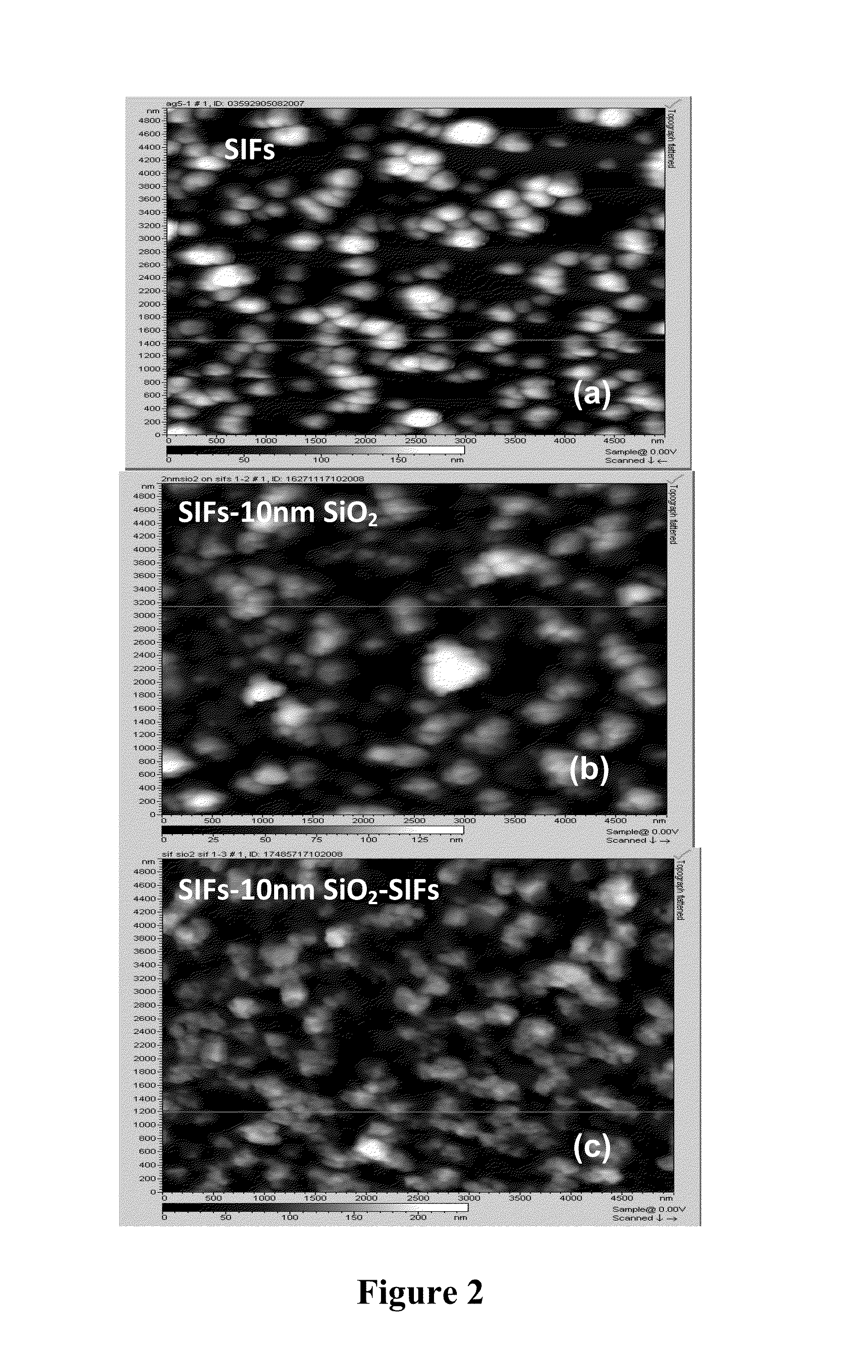 Metal enhanced fluorescence from metallic nanoburger structures