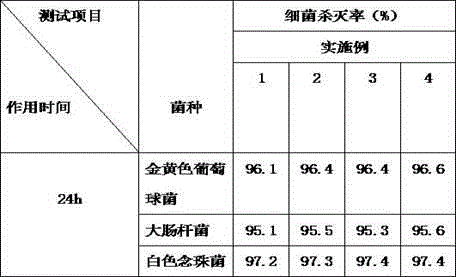 Nano-mesoporous titanium dioxide anticorrosive coating