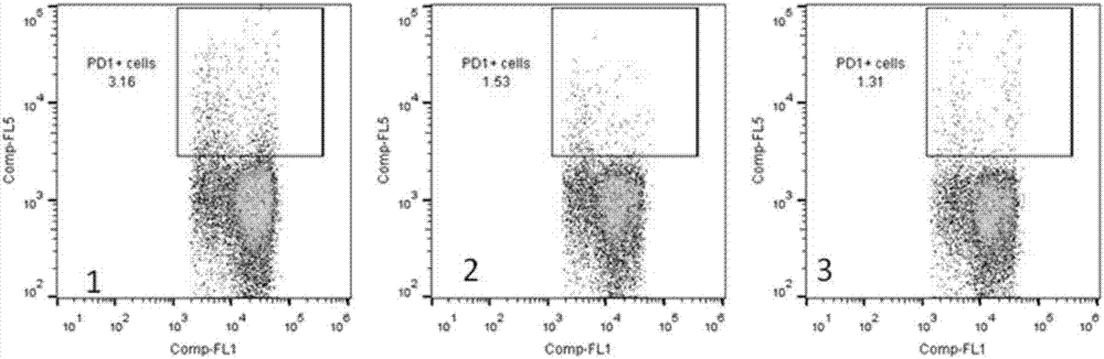 Fusion protein for restoring functions of exhaustion immune cells and application thereof