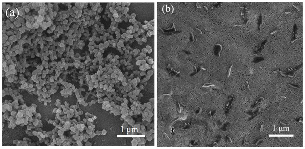 A self-adhesive myocardial patch material and its preparation method