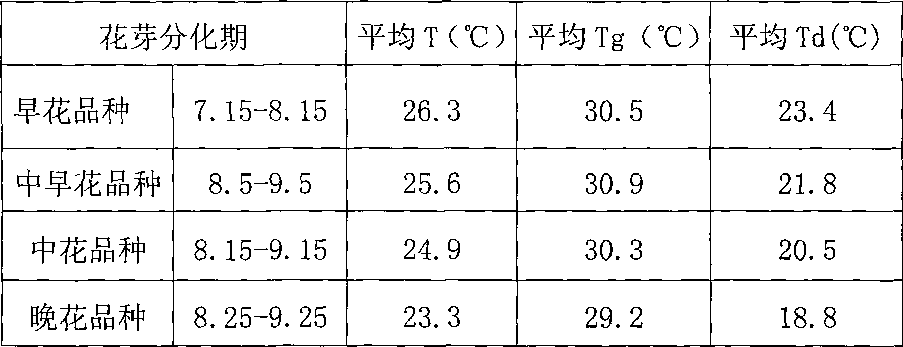 Method for cultivating Phalaenopsis amabilis Bl. in day-light greenhouse in north area