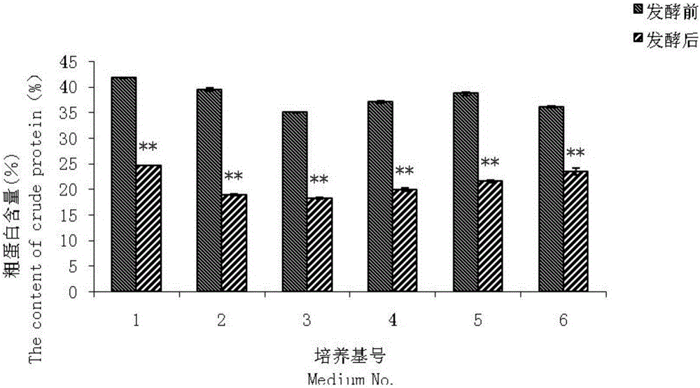 Preparation method of Stropharia rugosoannulata edible fungus flavor bean residue food raw material