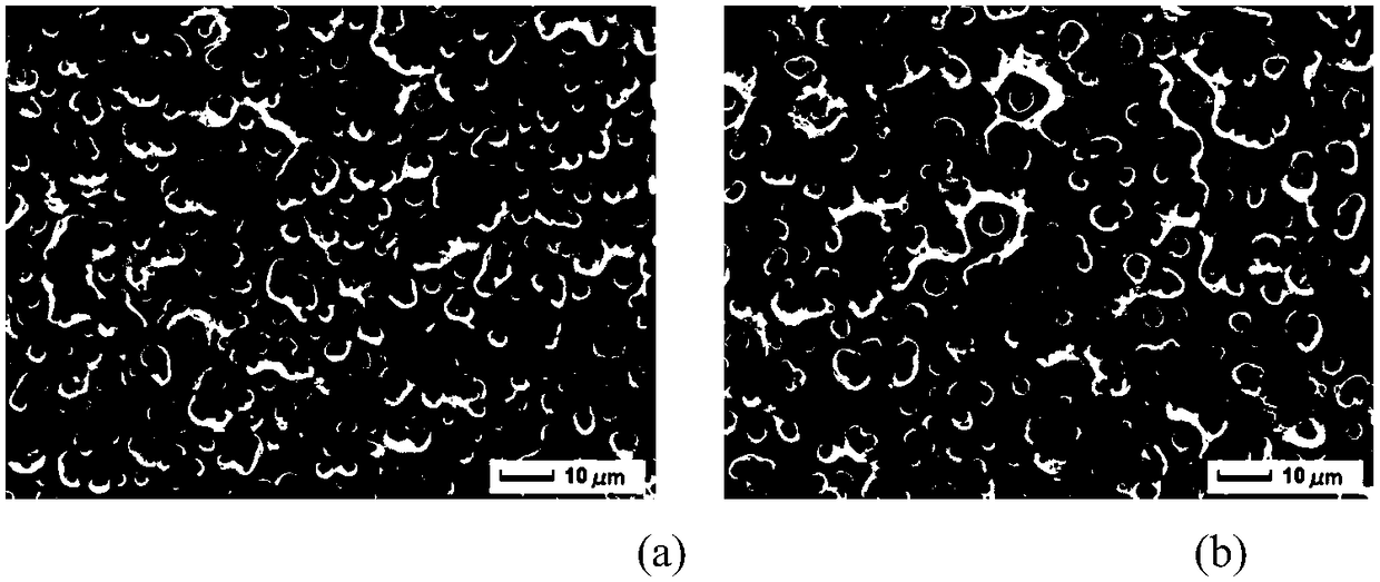 Silicon-doped medical pure titanium surface porous bioactive coating and preparation method thereof