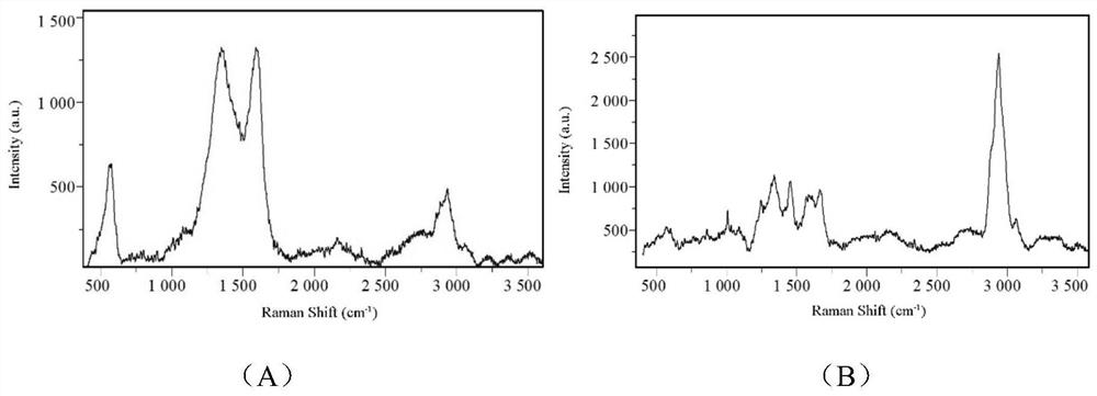 Preparation method and application of acid-resistant lactobacillus caseiwith high reproductive capacity