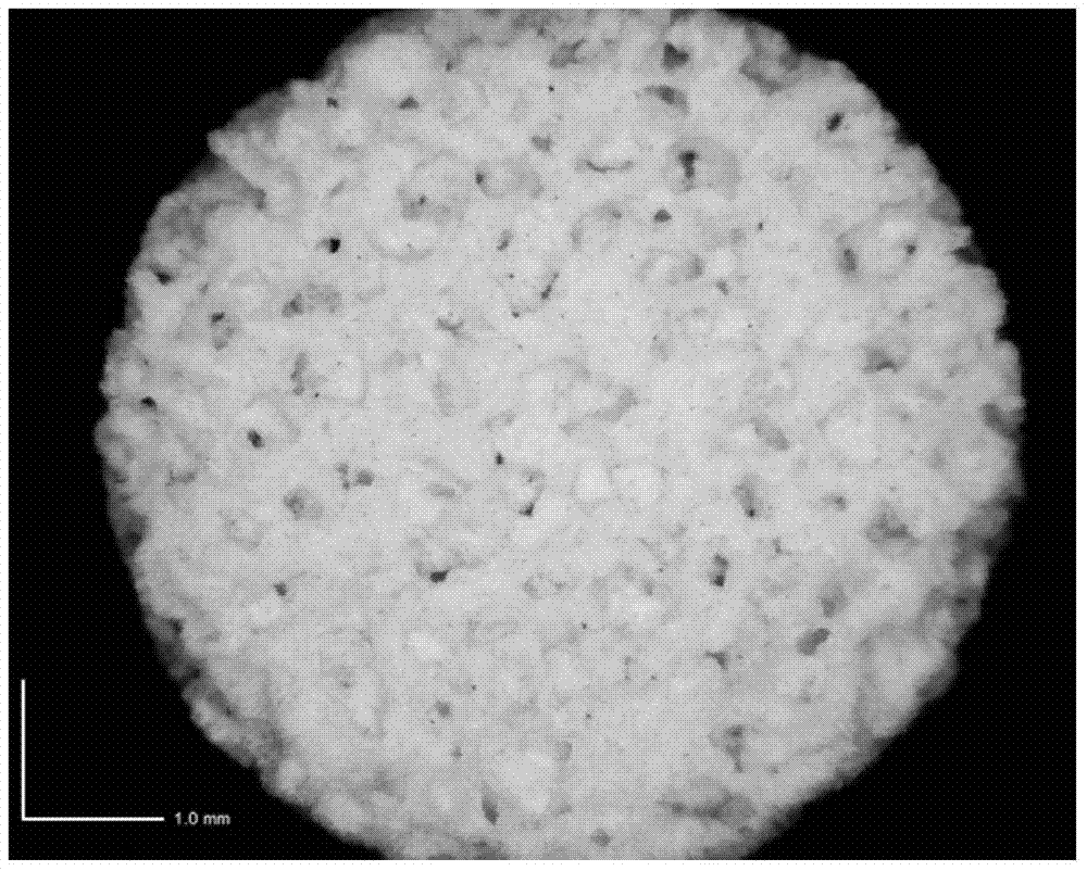 Functionalized mesoporous bioglass porous scaffolds as well as preparation method and application thereof