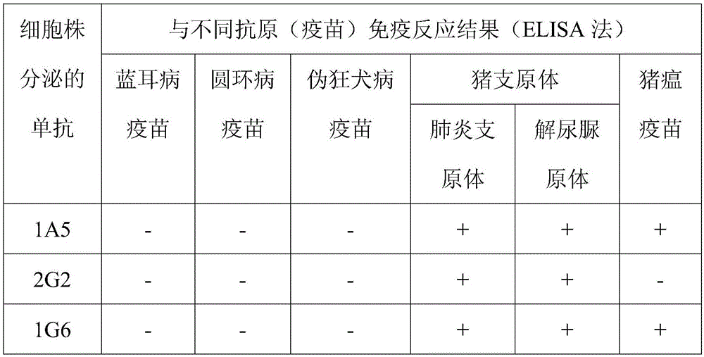 Pig mycoplasma specific monoclonal antibody and its application in clinical detection