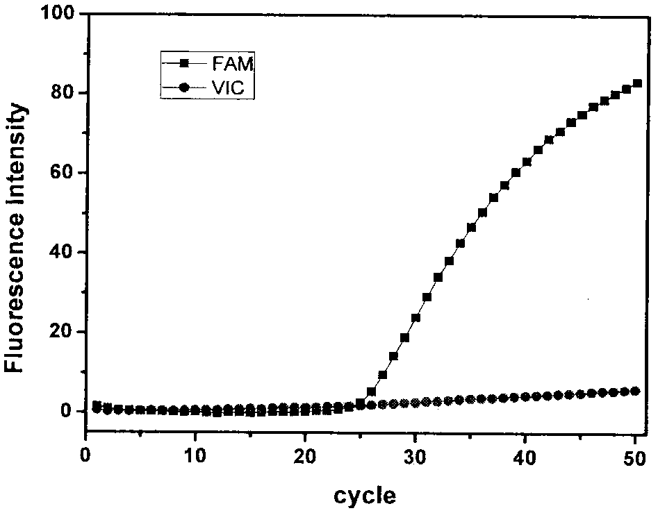 Detection kit and detection method of clopidogrel administration related gene subtyping