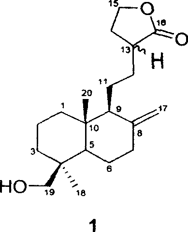 Novel compound separated from camphor tree body and medical component