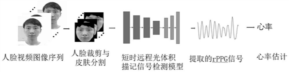Construction method and detection method of short-time rPPG signal detection model