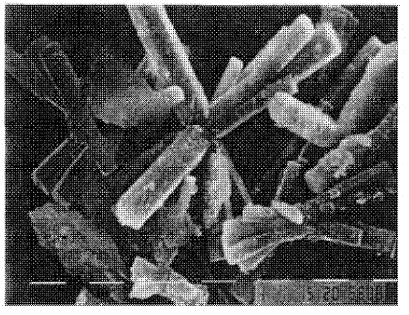 Columnar zinc oxide particles and method for producing same