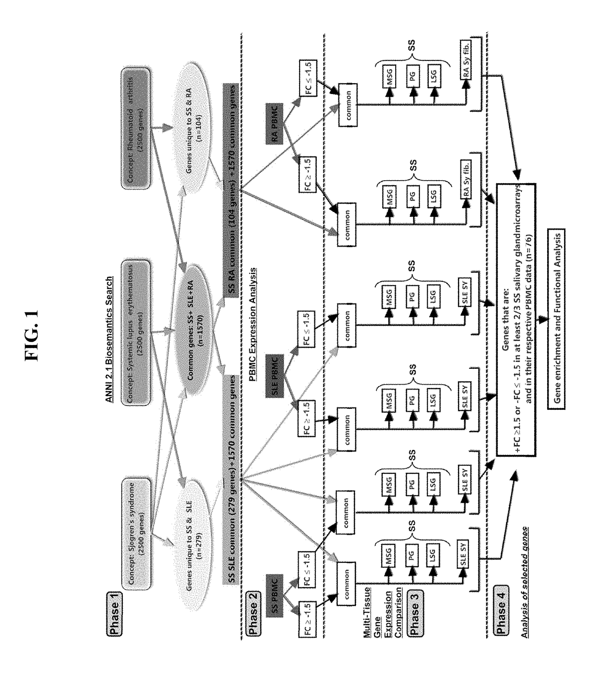 Compositions and methods for sjögren's syndrome