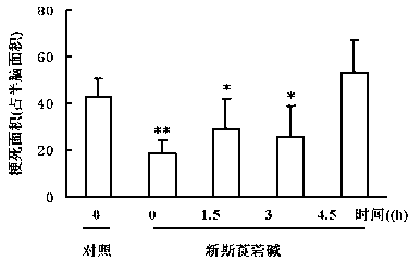 Application of neostigmine hyoscyamine in preparation of medicine for treating acute cerebral ischemic injury