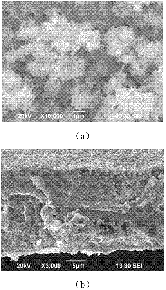 Preparation method of nano zinc oxide thin film and zinc oxide/copper oxide semiconductor material