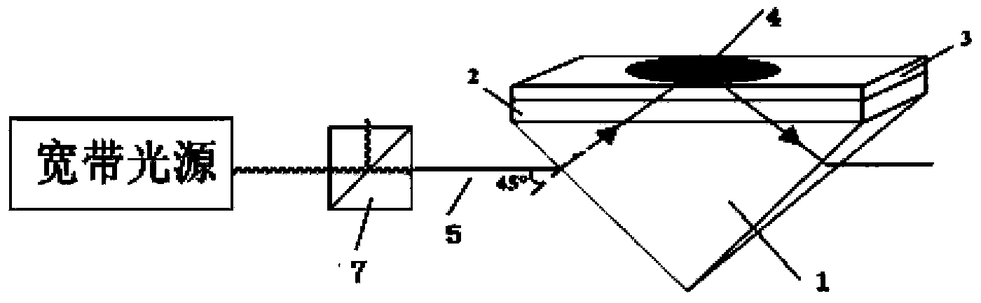 Device and method for generating surface plasma wave