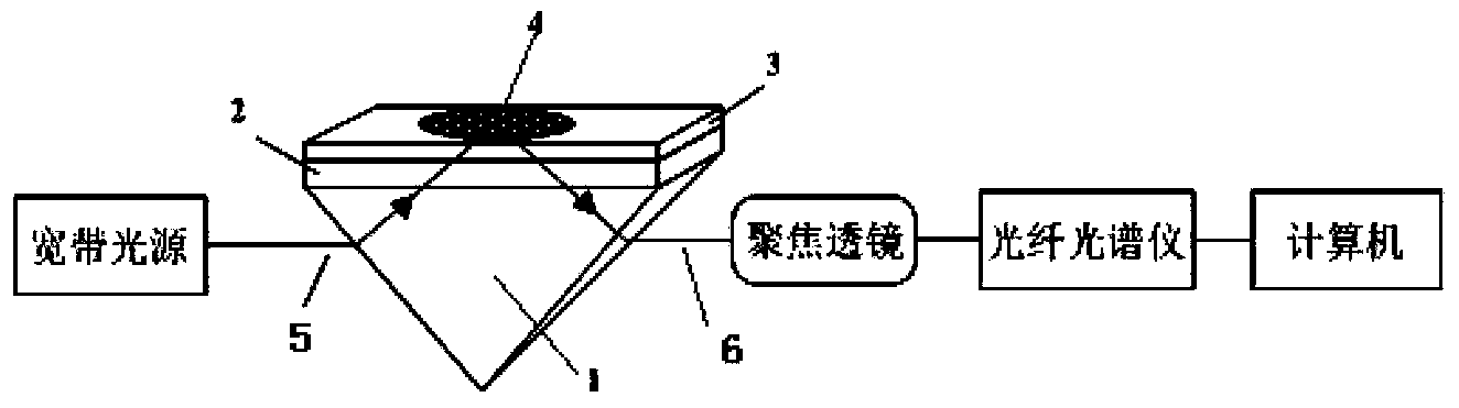 Device and method for generating surface plasma wave