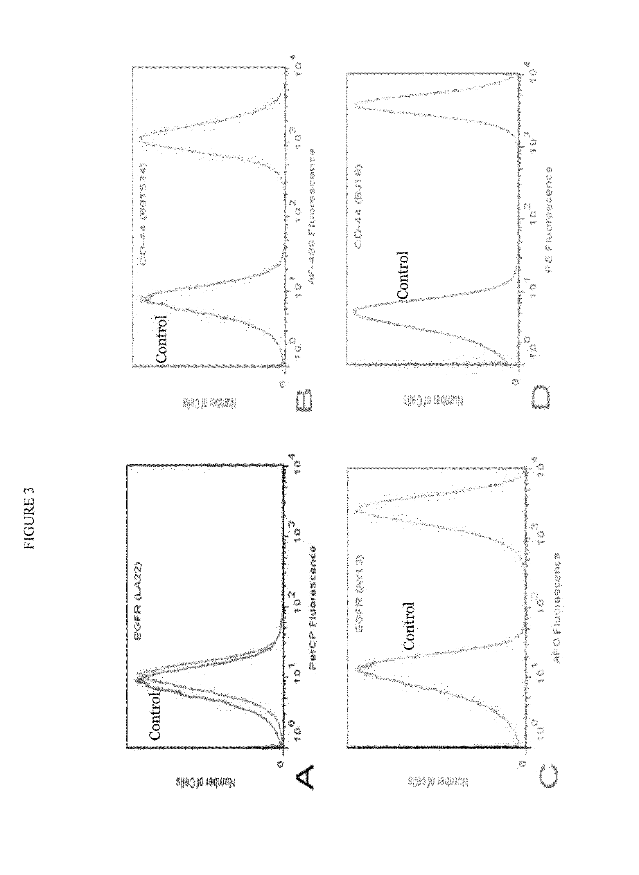 Antibody cocktails for breast cancer radioimmunotherapy