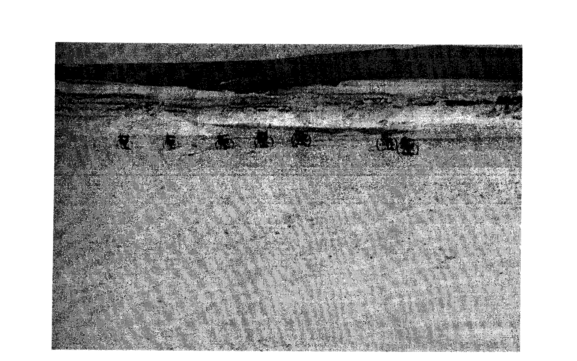 Composite desertification control method