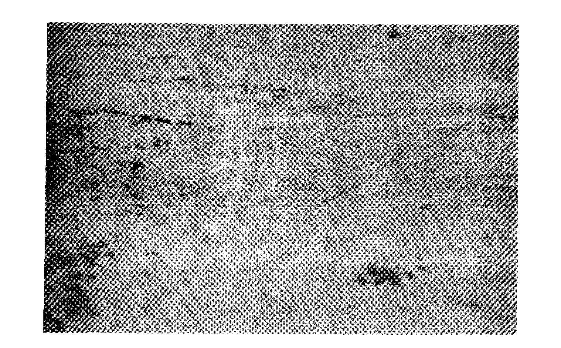 Composite desertification control method