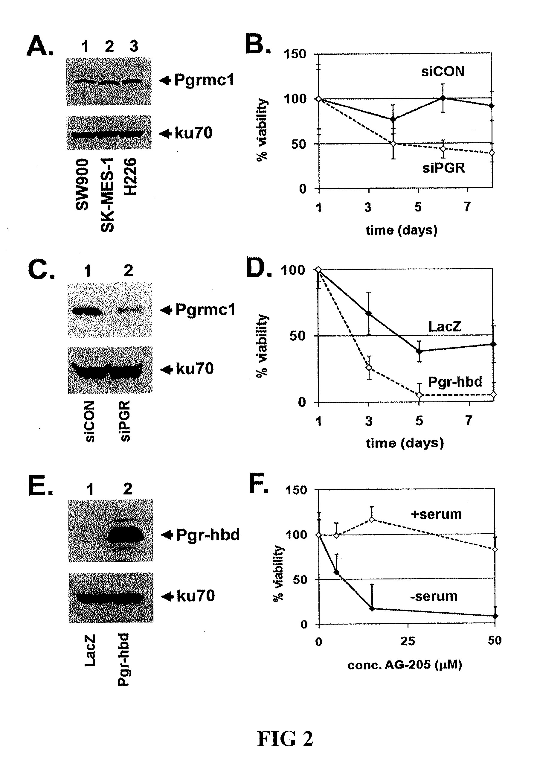 Secreted Tumor-Associated Cytochrome as a Blood-Based Biomarker for Cancer