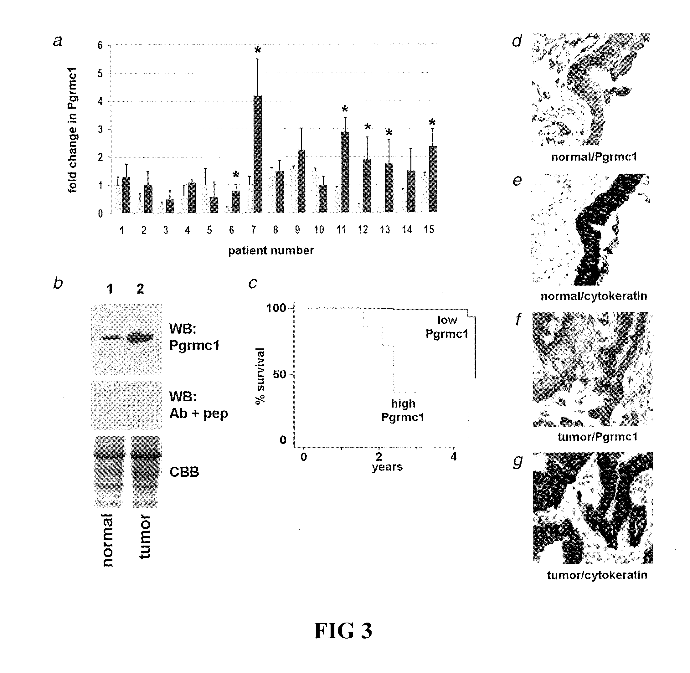 Secreted Tumor-Associated Cytochrome as a Blood-Based Biomarker for Cancer