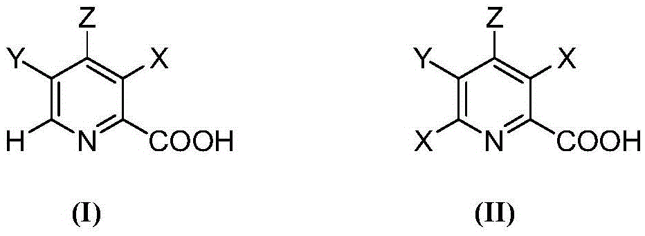 Selective electrochemical reduction method of halogenated picolinic acid or its salt compounds