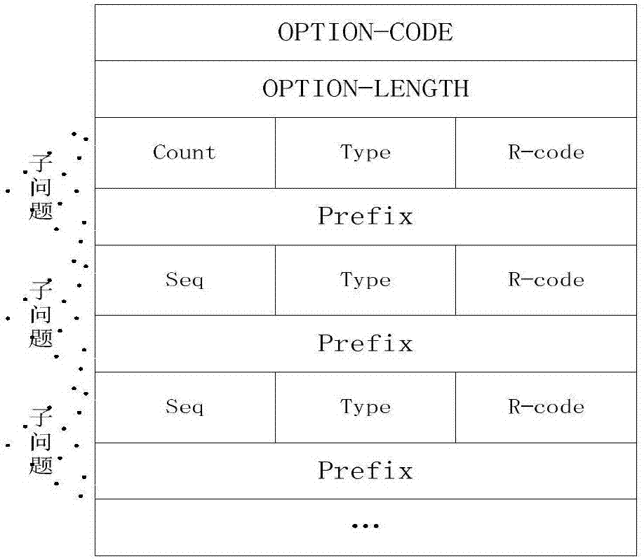 Method and system for supporting multi-domain-name record query based on pseudo resource record OPT extension