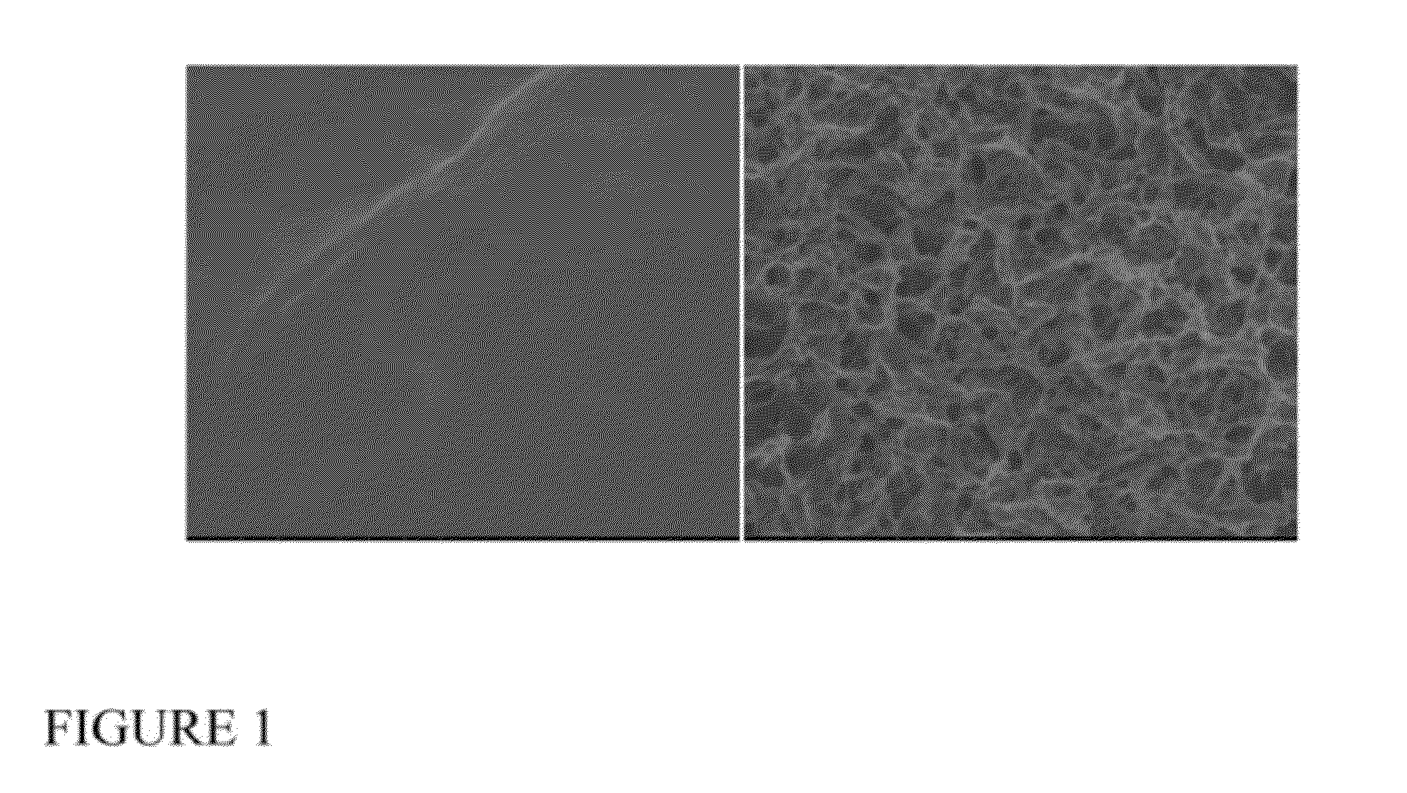 Interconnected porous non-degradable poly(VINYL) alcohol implant and method of manufacture