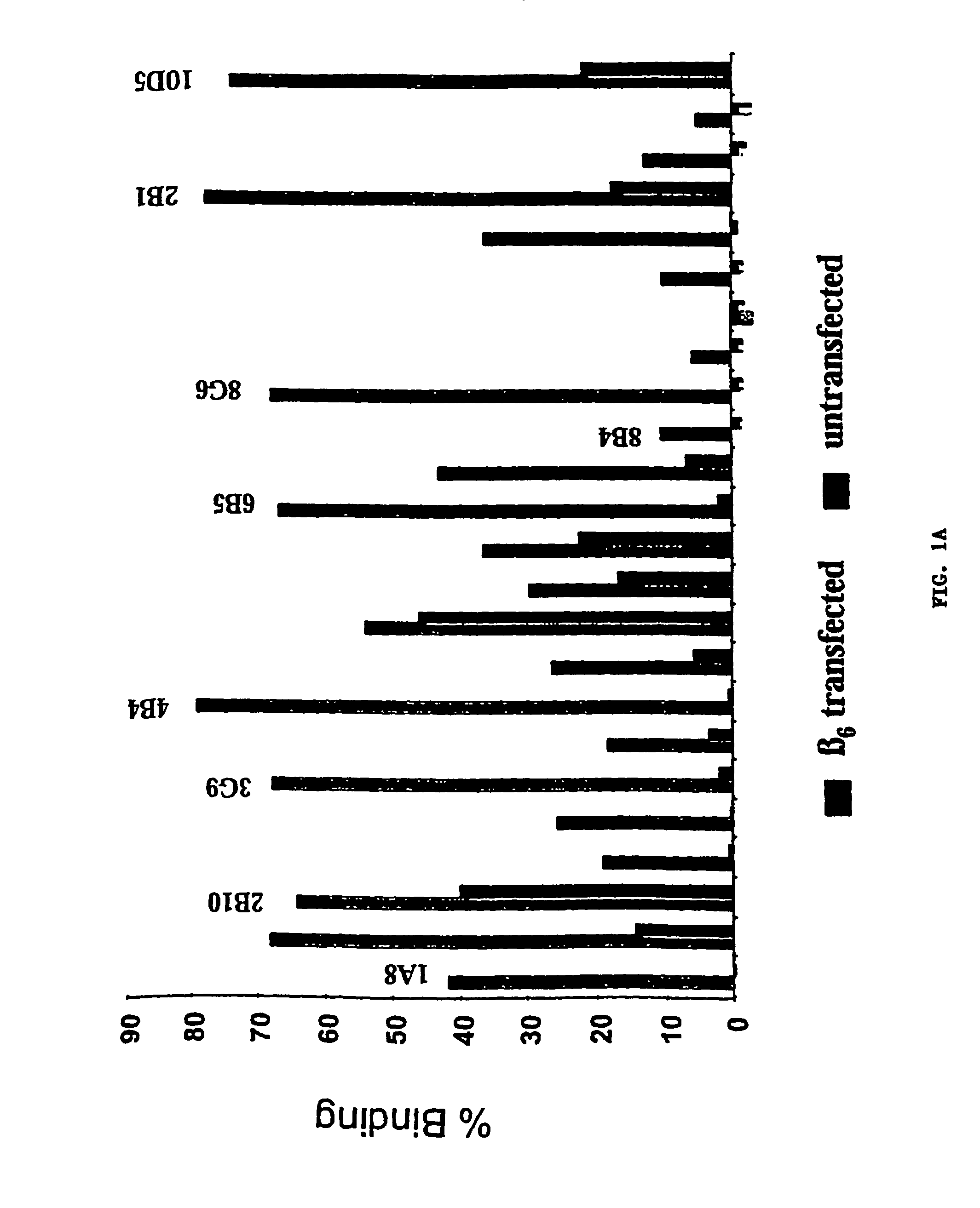 Anti-alphavbeta6 antibodies