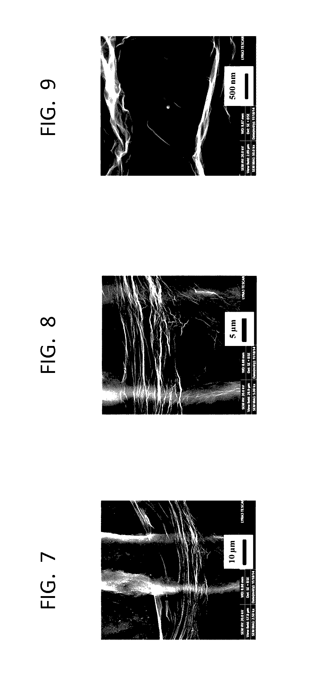 Method for detecting l-tyrosine by using graphene-modified graphite pencil electrode system